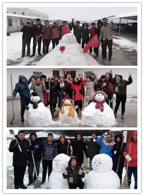 雪中美景雪景,雪中银装素裹美如画