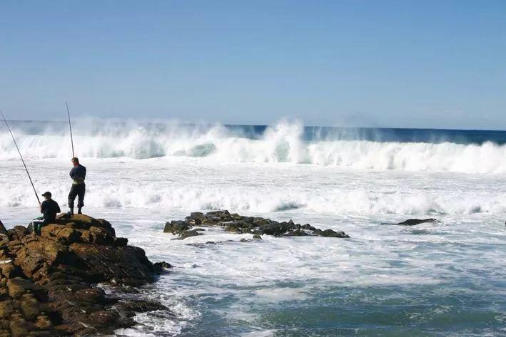 南非线路攻略|与鲨共舞、沙漠开花、隔海观鲸,你了解非洲吗?