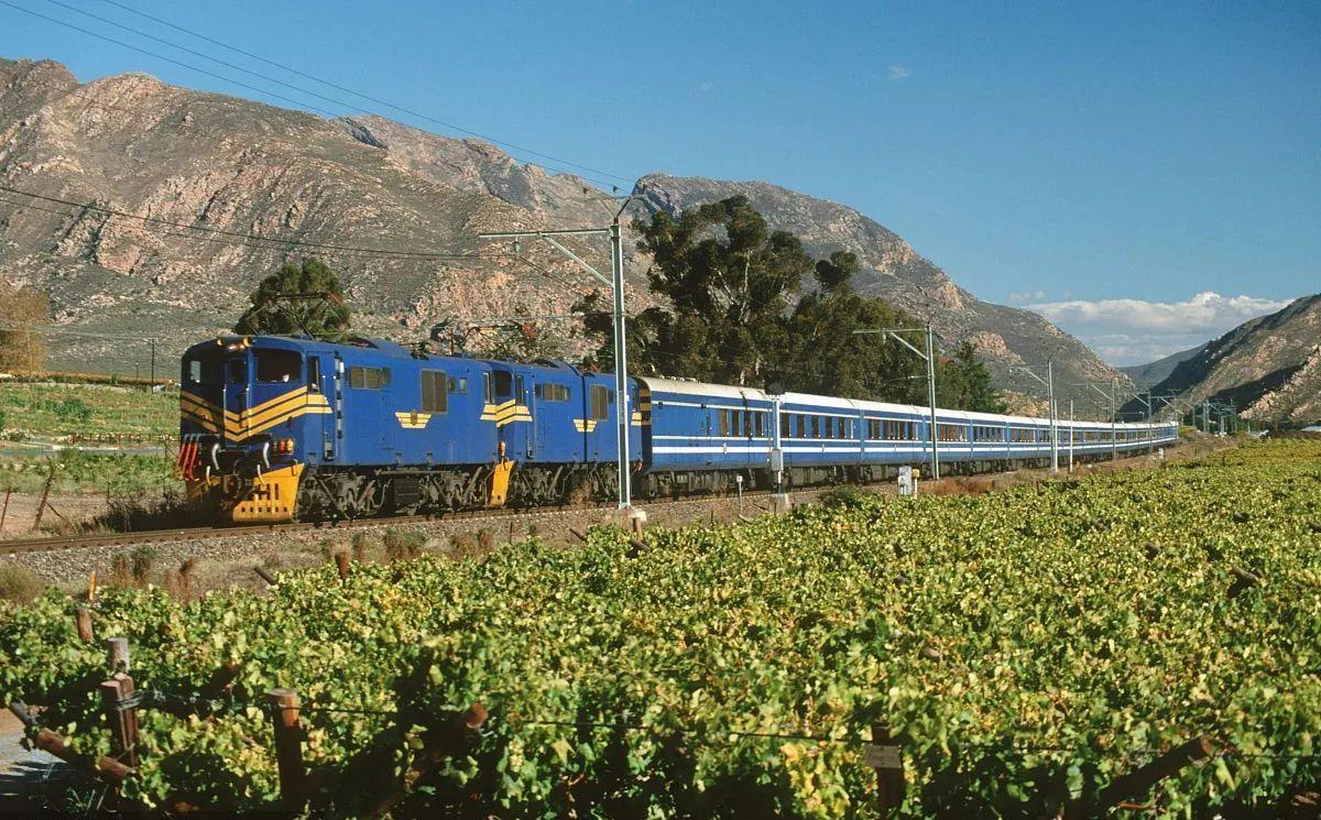 南非线路攻略|与鲨共舞、沙漠开花、隔海观鲸,你了解非洲吗?