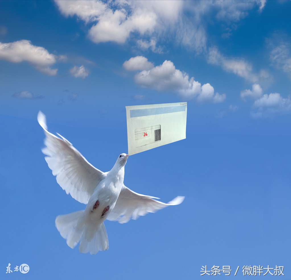 如何用书信的形式写作文,如何用书信的方式写作文