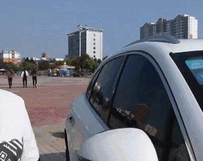 10款年度不值得买车型车企脸怎么都肿了