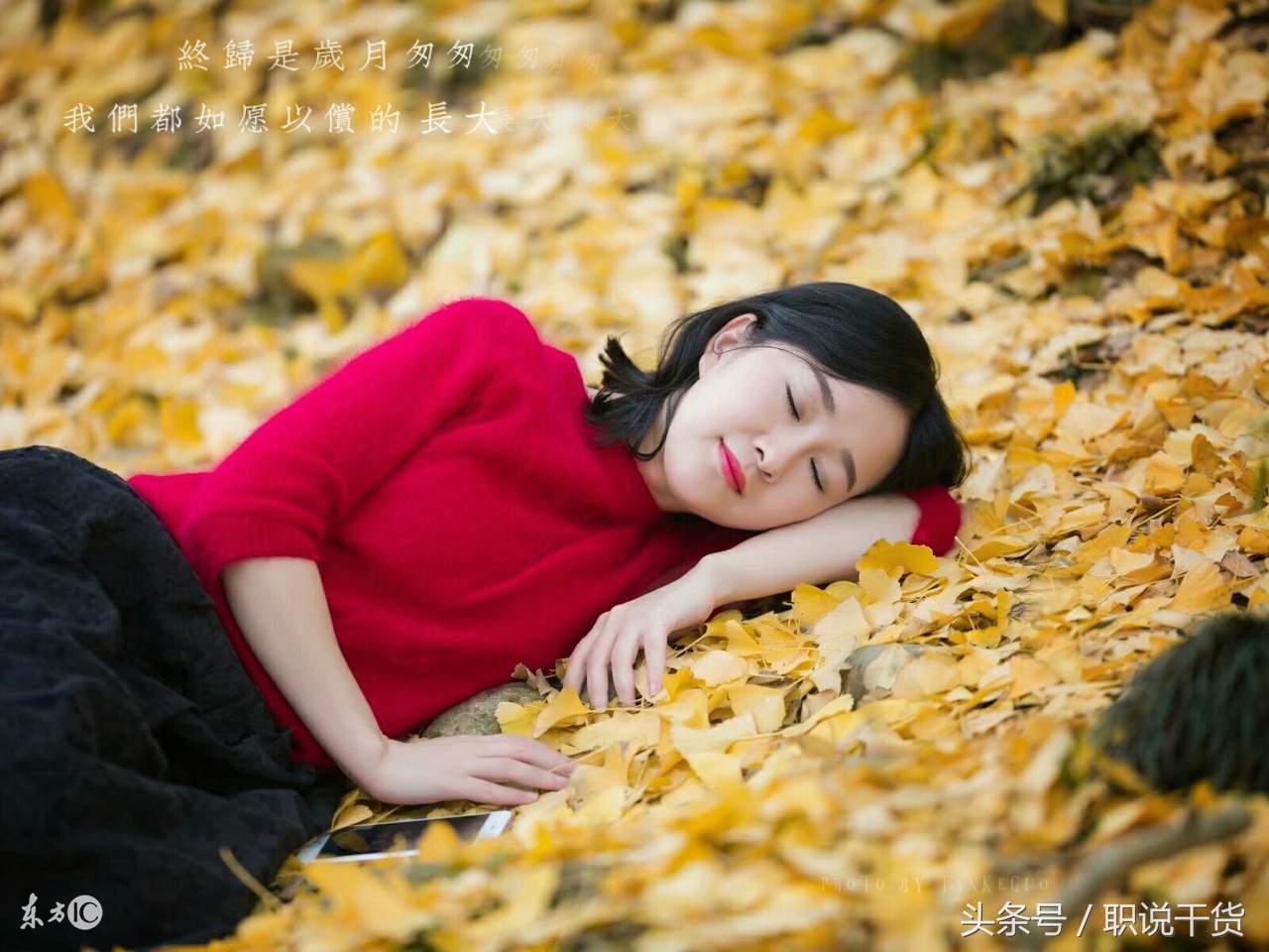 摒弃职场螺丝钉的KPI，跳槽智多星就是你想要的？