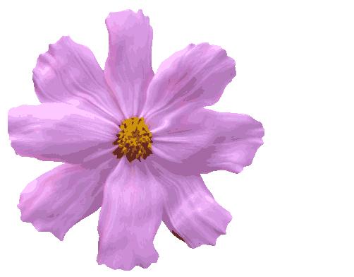 新款时尚婴儿推车,功能型婴儿推车高颜值推荐