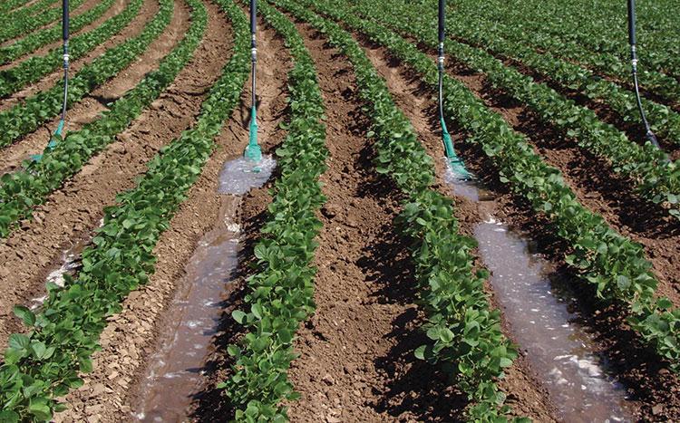 喷灌机喷头有哪些,喷灌机的喷头有哪些