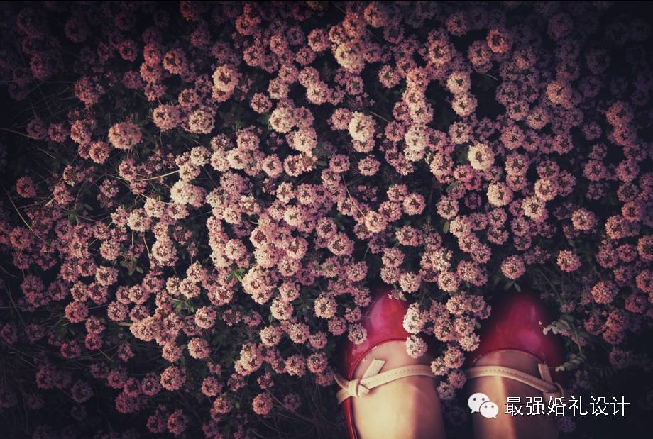 免费的灵感网站,五大灵感网站