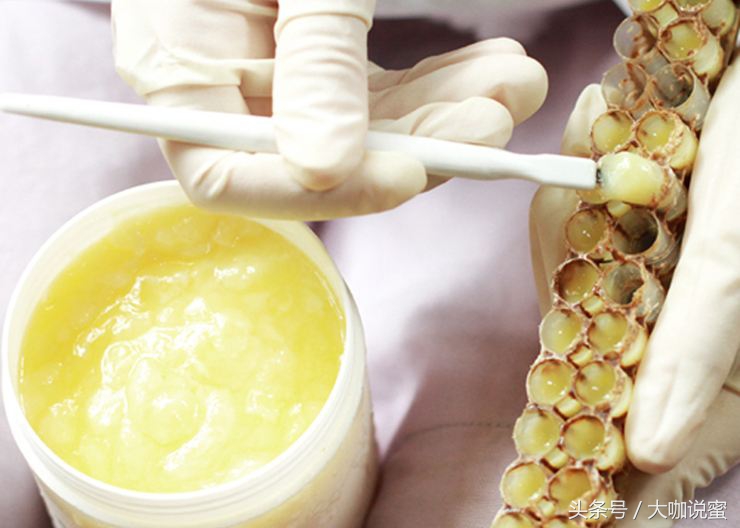 一勺蜂王浆等于多少个虫草,虫草燕窝蜂王浆