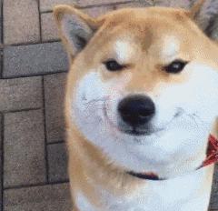 最有男人味的男明星彭于晏,除了南柱赫还有啥