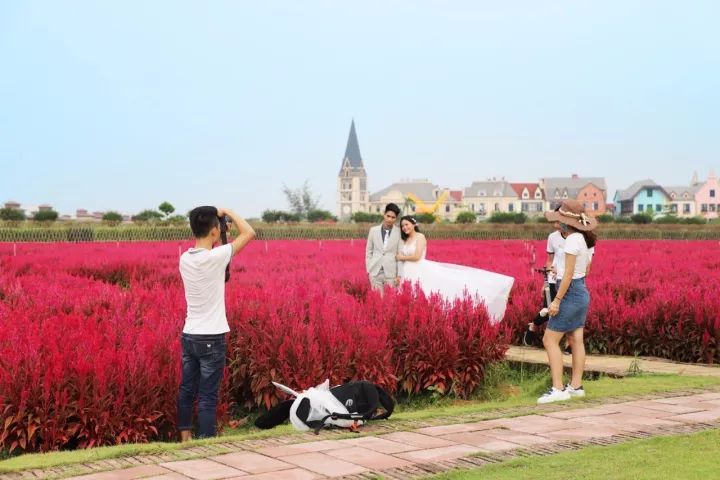 世界首创“船上温泉”，白鹭齐飞，逛法国风情小镇，深圳2.5h即到