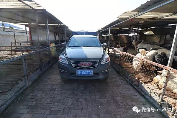 魏朝柯:帅铃T6,旅程有你不孤单|卡车之友网