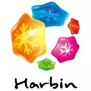 2022哈尔滨冰雪节南岗,有关哈尔滨冰雪节视频