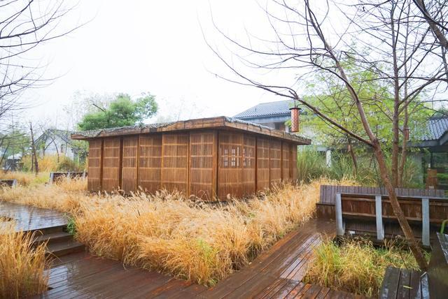 我和玛莎拉蒂的故事,我与玛莎拉蒂的故事