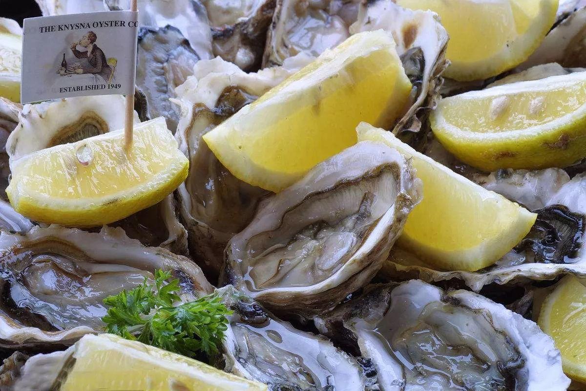 南非线路攻略|与鲨共舞、沙漠开花、隔海观鲸,你了解非洲吗?