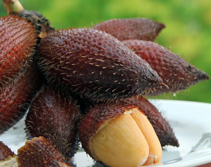 生活中常见的水果图片,最难吃的水果蛇皮果