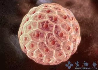 科普:皱纹成因,以及对抗方法