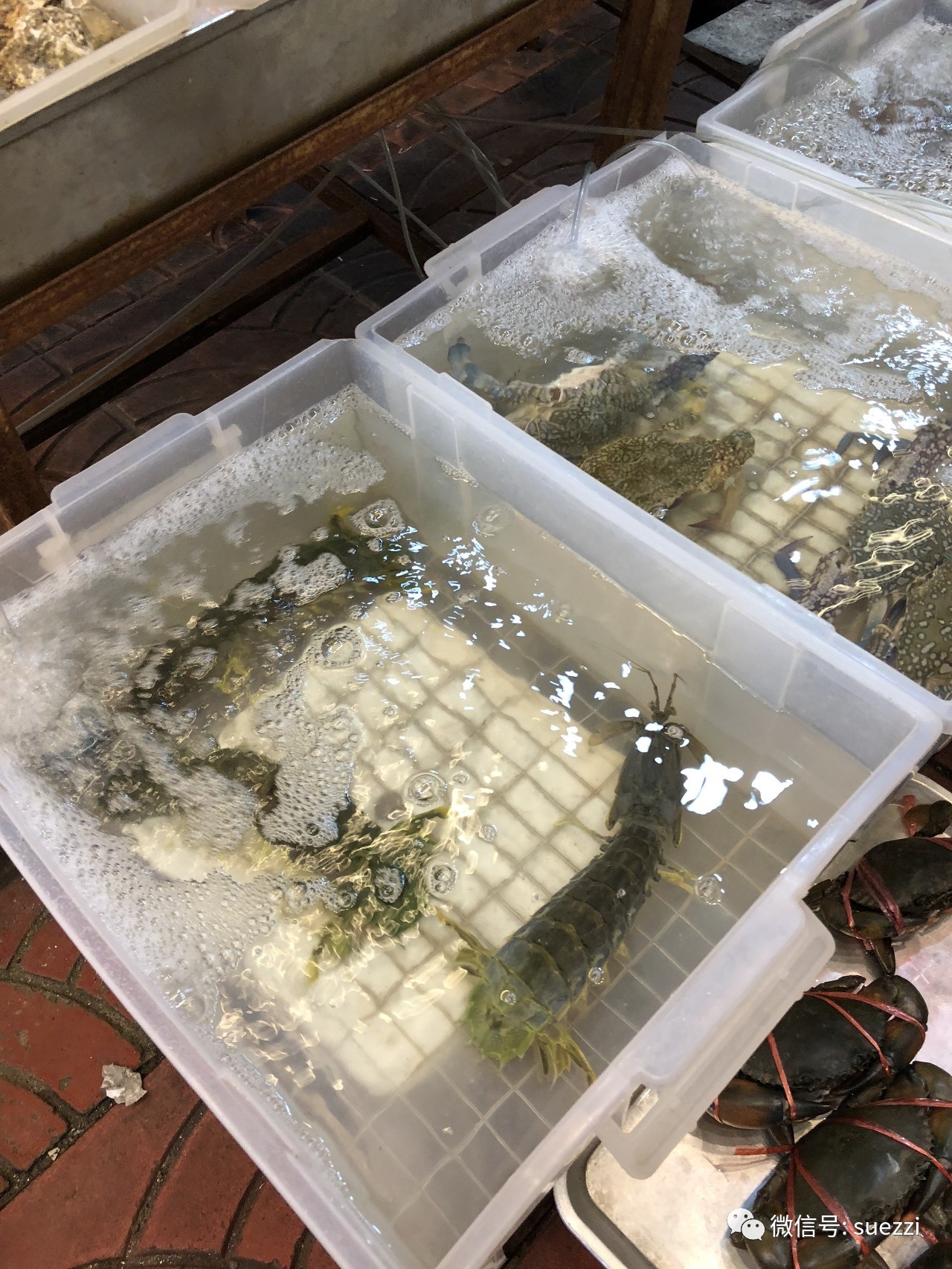 曼谷旅游攻略s5-12,曼谷旅游攻略之自由行安全吗