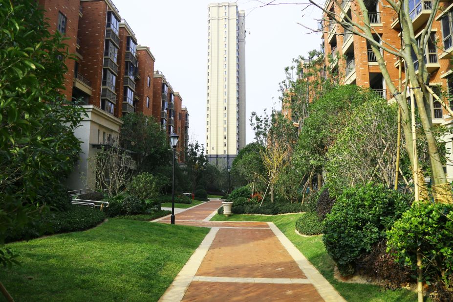 涓厗鏄熸渤姹囦竴鍙疯嫅,鎯婅壋缁芥斁