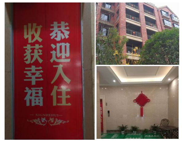 涓厗鏄熸渤姹囦竴鍙疯嫅,鎯婅壋缁芥斁