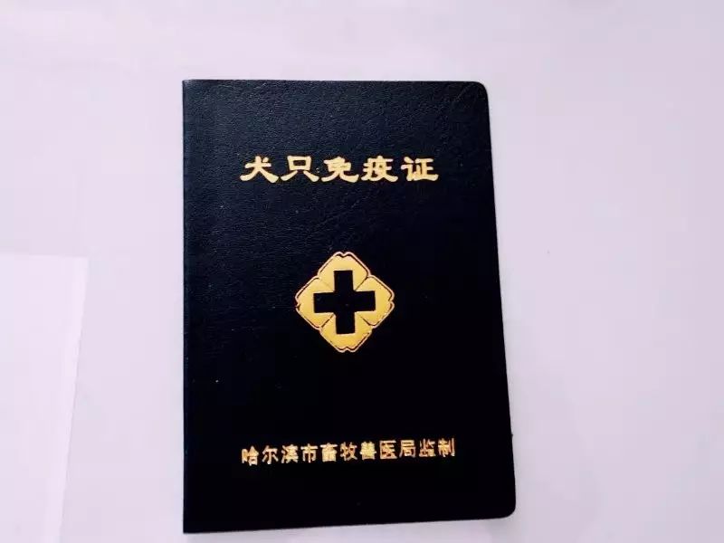 2018年,哈尔滨这些东西统统免费!不知道你就亏大了!