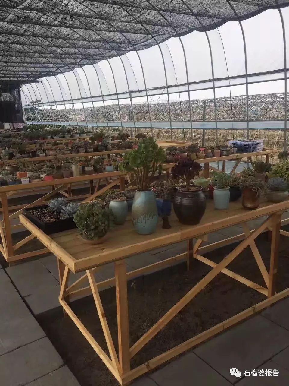 未来十年最好的一笔投资,个人十年最具潜力的投资