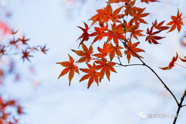 日本铁路公司直营的日料店,会隐身