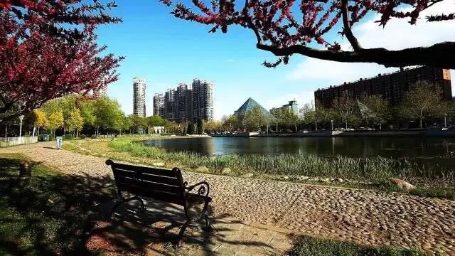 「滨海鲜闻」请回答,滨海2000-2018