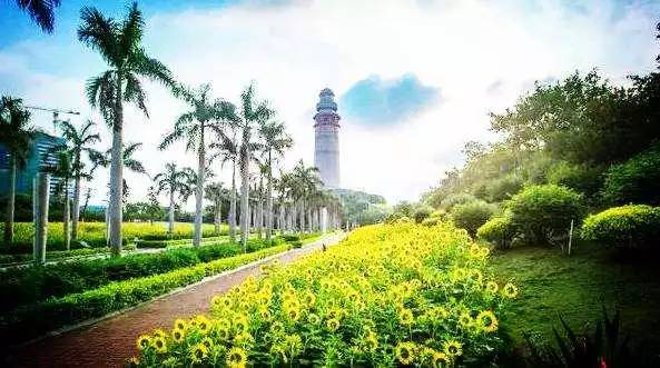 2018年,哈尔滨这些东西统统免费!不知道你就亏大了!