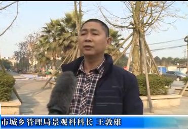 「环保」崇州这些彩色的桶居然和环保有关！