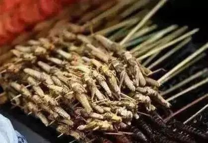 可惜啊，涨到300元一斤！六安人却拿来喂猪……