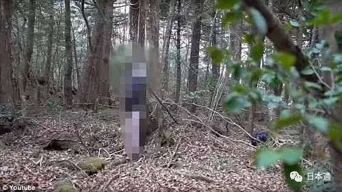 美国网红保罗拍日本自杀者遗体视频引发众怒，底线何在？