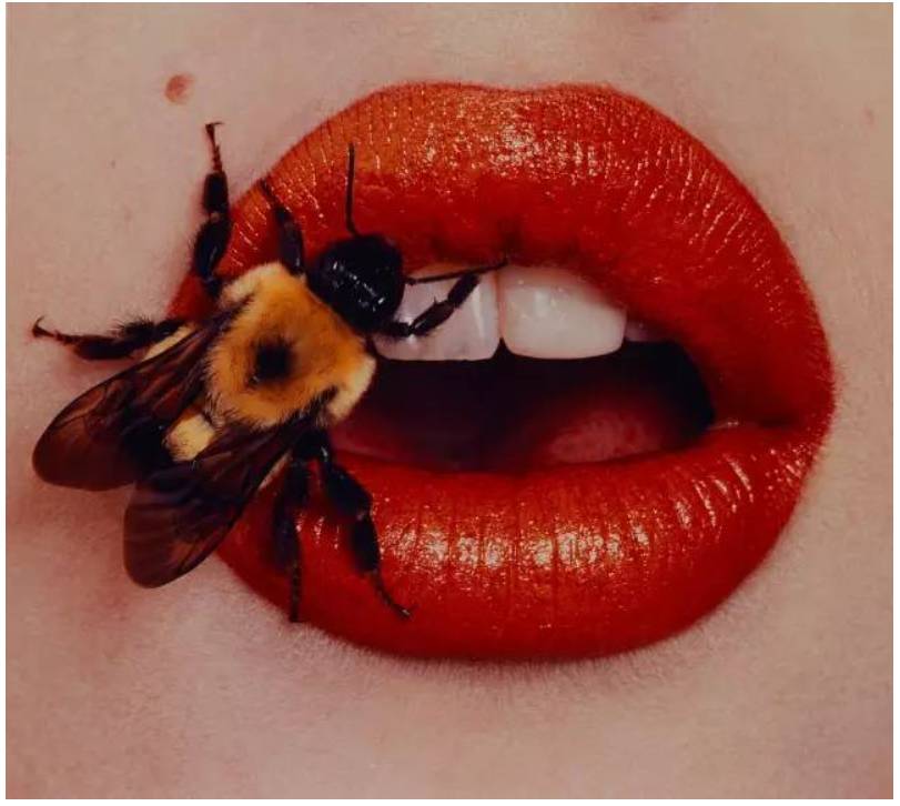 吃鱼子酱正确吃法,吃鱼子酱咋样