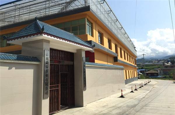 勐傣茶厂价格,勐傣茶厂在哪里