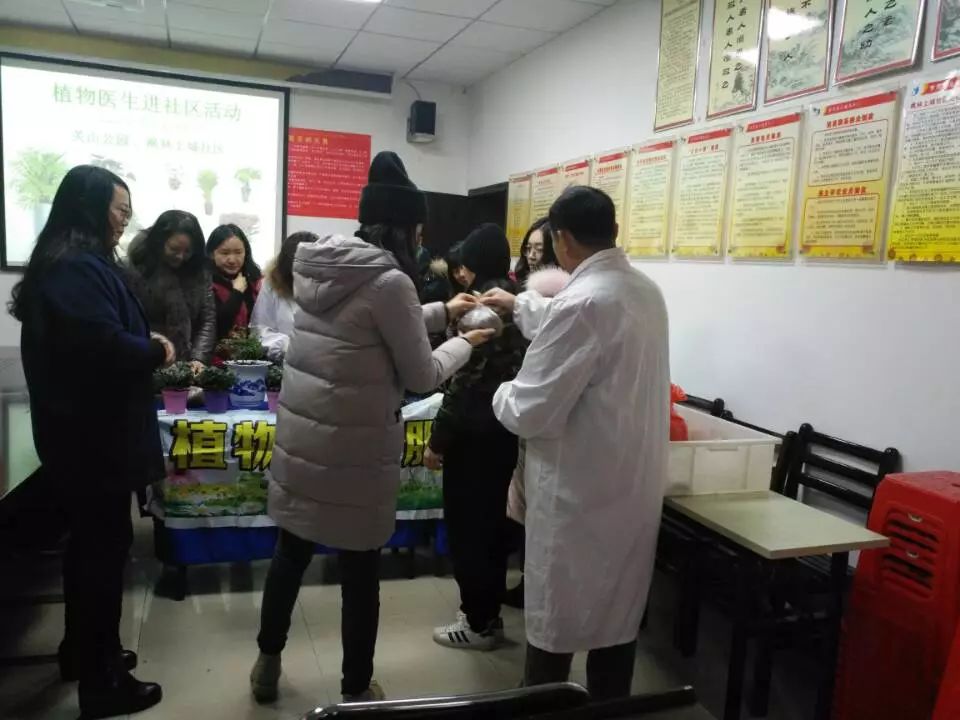 冻坏的花草还能救回来,冻伤的花草是否生长缓慢