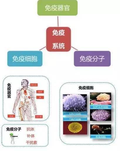 糖友反复感染是什么情况,糖友感冒吃啥药