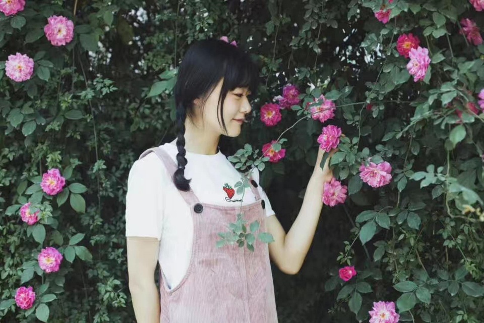 豆瓣日记:2017我的电影史——有关于行走、生活、一丁点儿爱情与艺术