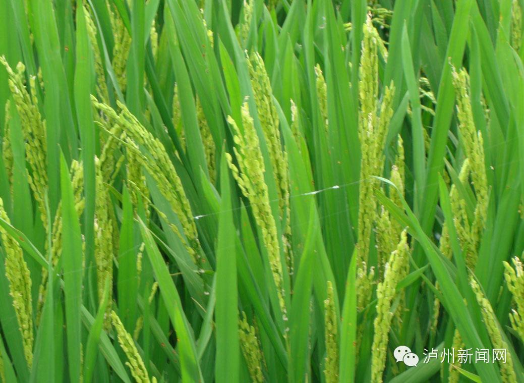 科普小松鼠有几个时间不宜洗澡;5个错误习惯让你长痘