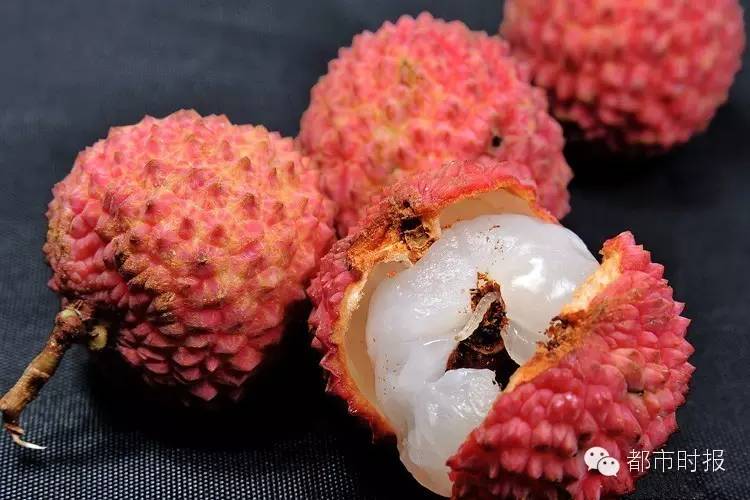 吃山竹吃到满胳膊蚂蚁不点开会后悔！点开可能会吐