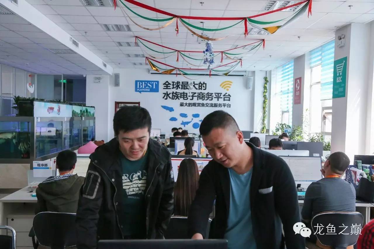 格池小绵羊造浪泵怎么样,格池小绵羊拆解