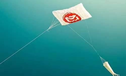 蠹虫的读音,蠹虫寄生后肚子变大