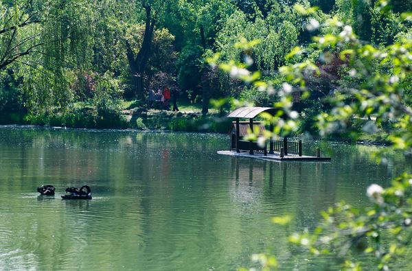水之密语净润臻养护系列,水之密语净澈180ml
