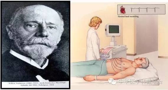 诱发心律失常的常见原因,肾上腺素诱发家兔心律失常