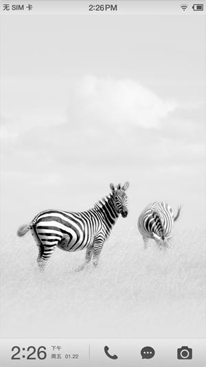 锤子t2上手视频,锤子t2老罗