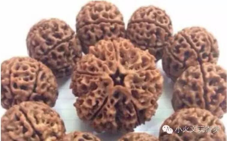 金刚与落地红,落地红对比金刚菩提