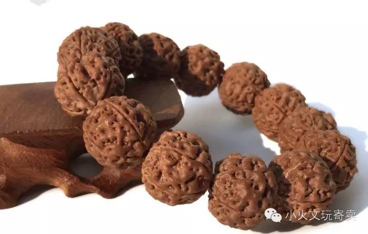 金刚与落地红,落地红对比金刚菩提