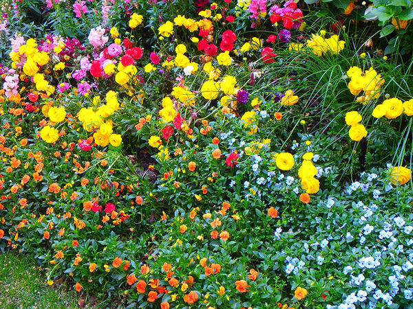 奥林巴斯tg-7运动相机怎样,奥林巴斯tg850拍照