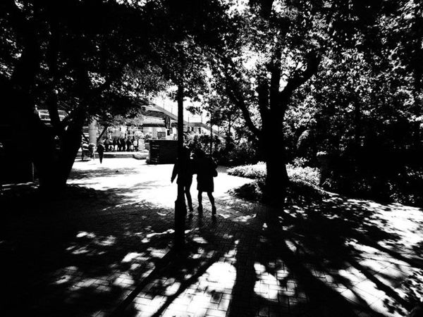 奥林巴斯tg-7运动相机怎样,奥林巴斯tg850拍照