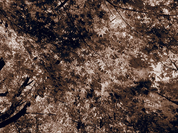 奥林巴斯tg-7运动相机怎样,奥林巴斯tg850拍照