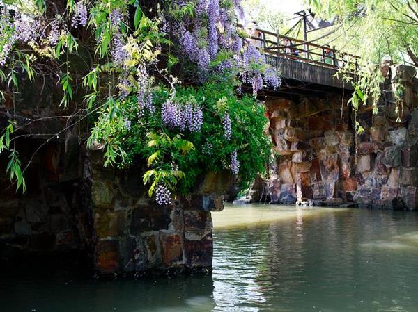 水之密语净润臻养护系列,水之密语净澈180ml