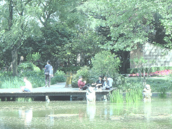 奥林巴斯tg-7运动相机怎样,奥林巴斯tg850拍照