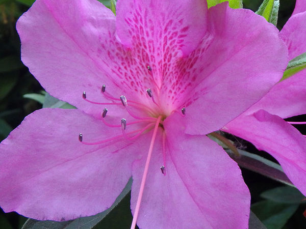 奥林巴斯tg-7运动相机怎样,奥林巴斯tg850拍照