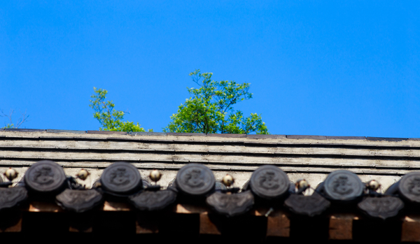 水之密语净润臻养护系列,水之密语净澈180ml